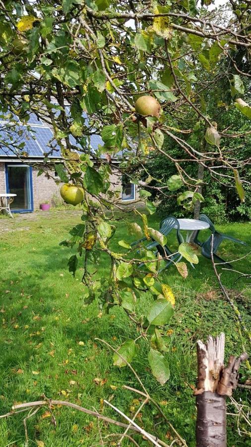 Logeerruimte In Gerenoveerde Boerderij In Wachtum Apartment Exterior photo