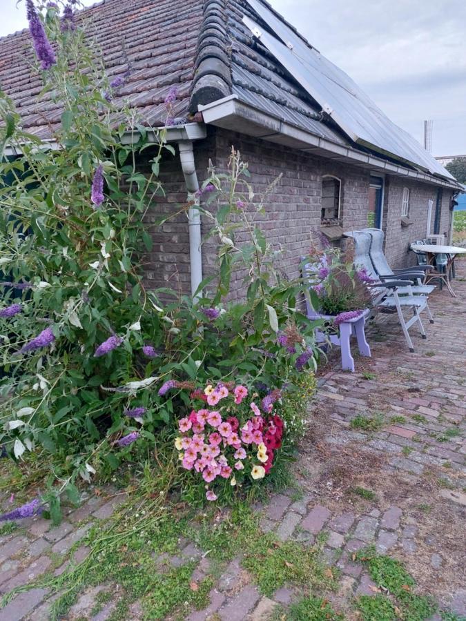 Logeerruimte In Gerenoveerde Boerderij In Wachtum Apartment Exterior photo